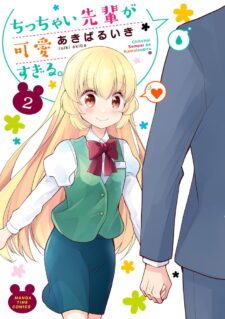 Anime Cover