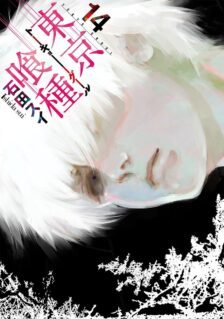 Anime Cover