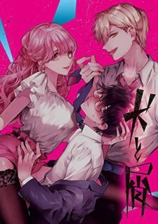 Anime Cover