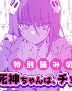 Anime Cover