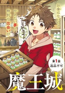 Anime Cover