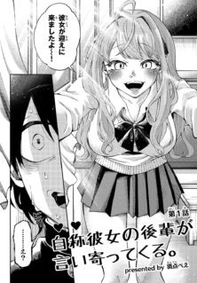 Anime Cover