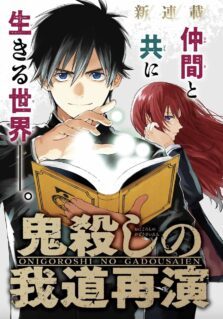 Anime Cover